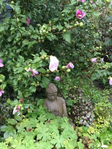 buddha in garden bigger